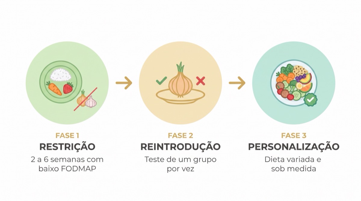 Dieta FODMAP na prática, o protocolo em 3 fases que alivia o intestino irritável