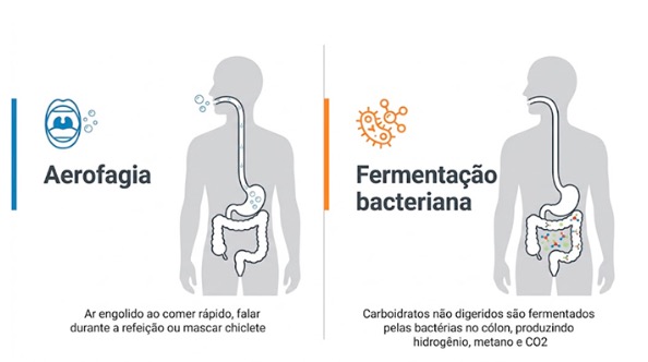 Gases intestinais: por que acontecem e o que fazer para aliviar