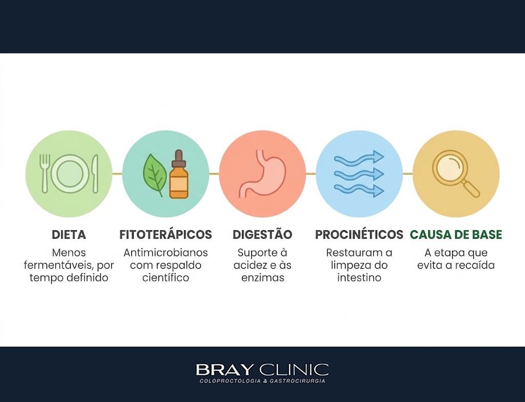 Tratamento natural para SIBO, a abordagem integrativa que trata a causa e evita a recaída