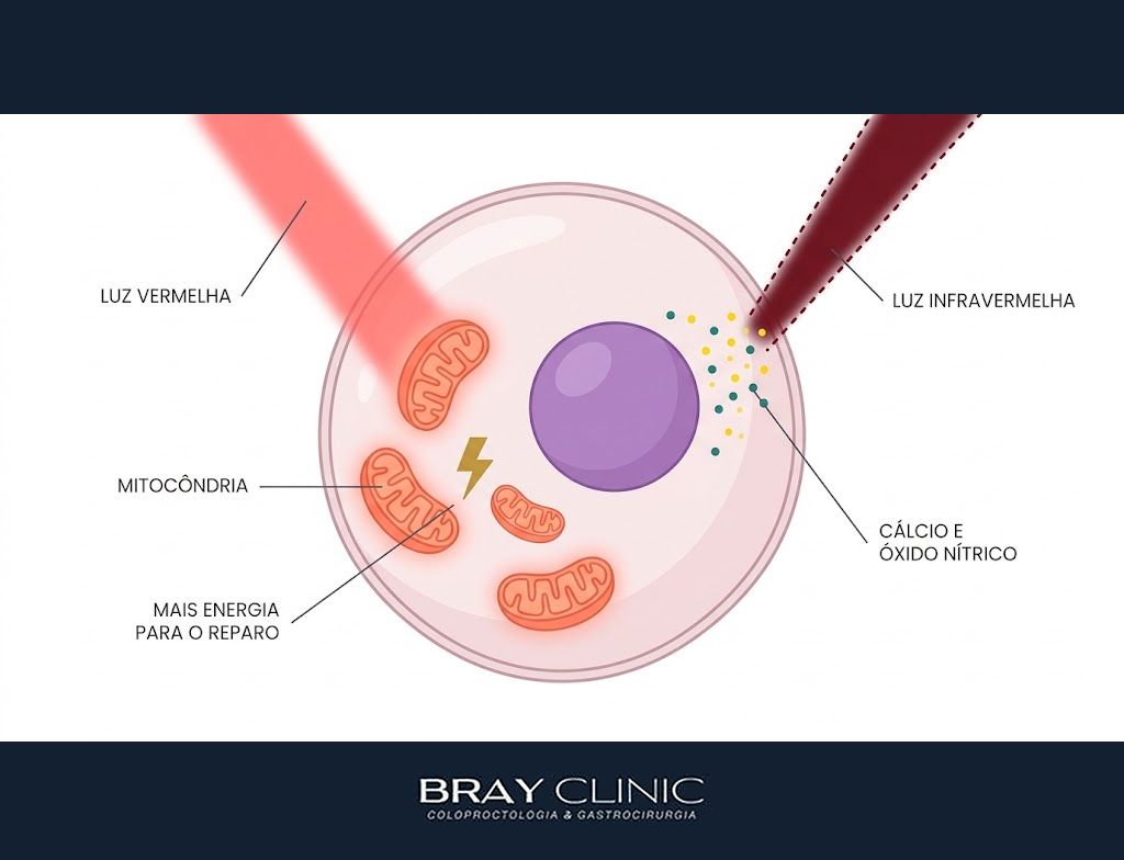Fotobiomodulação, entenda como a luz do laser de baixa potência ajuda o corpo a cicatrizar