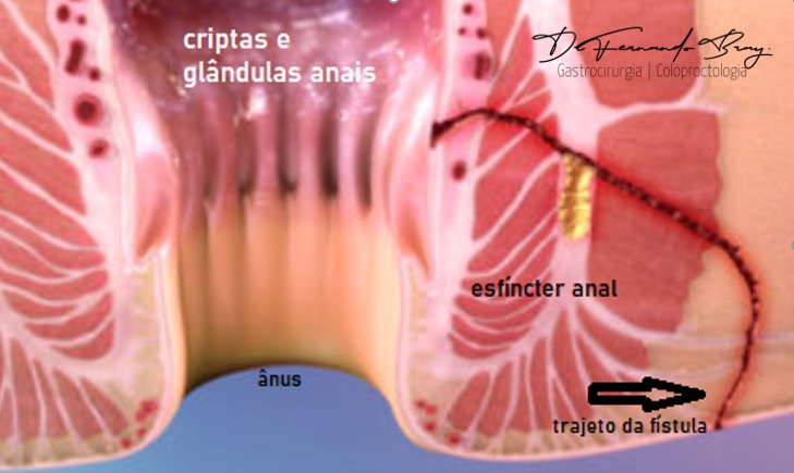 DiagramaDescrição gerada automaticamente