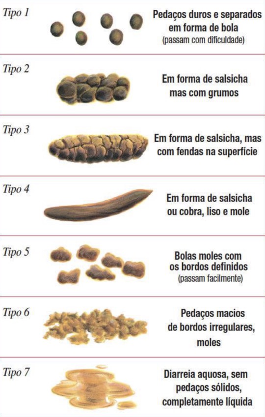 O que as fezes podem dizer sobre sua saúde