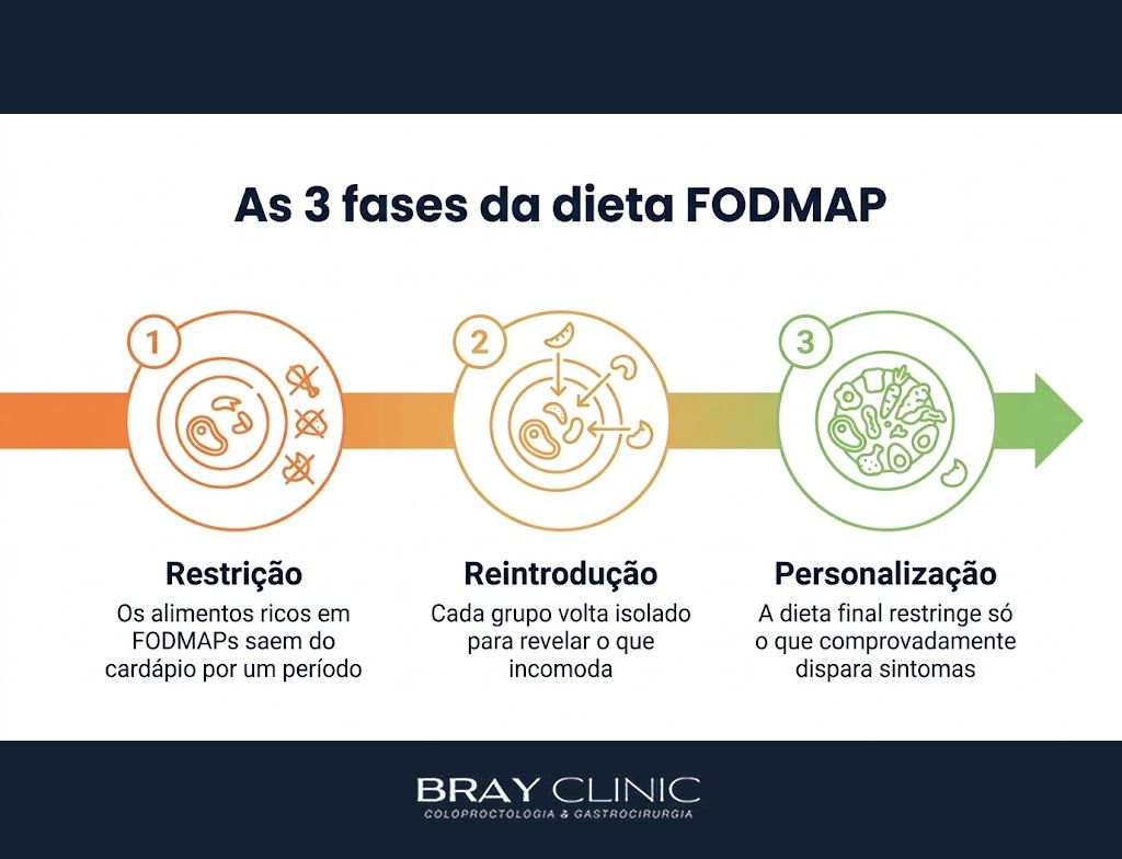 Dieta FODMAP na prática, o protocolo em 3 fases que alivia o intestino irritável