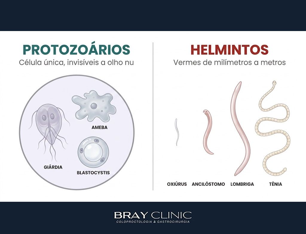 Parasitas intestinais, o hóspede indesejado que pode estar por trás dos seus sintomas digestivos