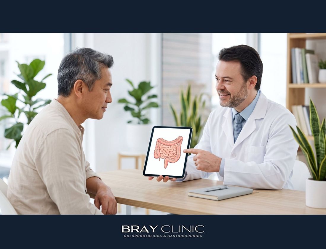 Intestino permeável existe? O que a ciência já sabe sobre o leaky gut e a barreira intestinal