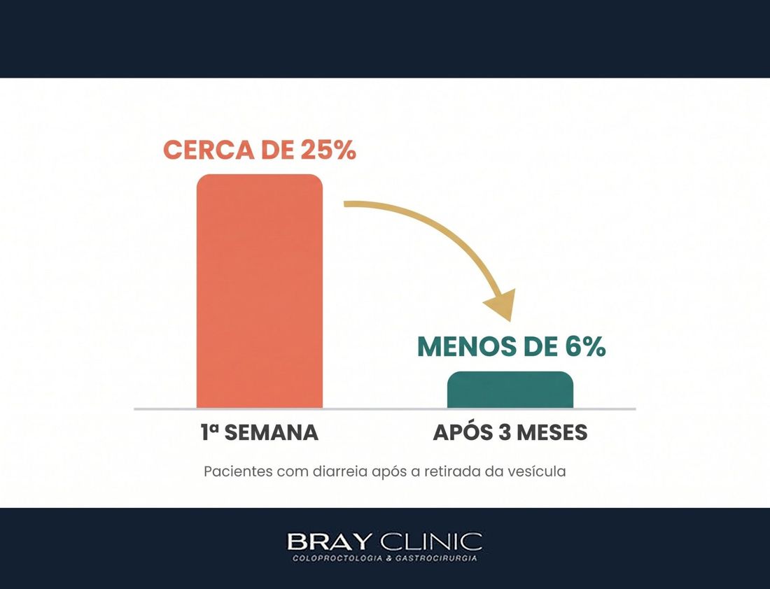 Vida sem vesícula: como o corpo se adapta e o que fazer para a digestão voltar ao normal