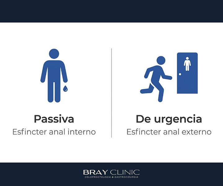 Incontinência fecal: o que causa, quais os sintomas e como tratar